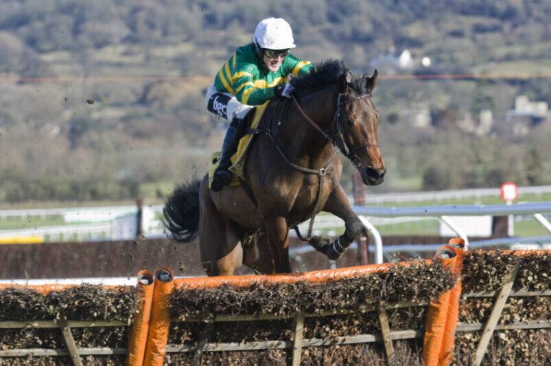 Management at Cheltenham Racecourse hope that rising numbers of visitors from Ireland will help them achieve a sizeable increase in spectators for the November Meeting over the next few years.